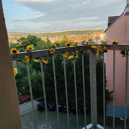 Apartment Star Brno #2c215 By Starbnb Eu
